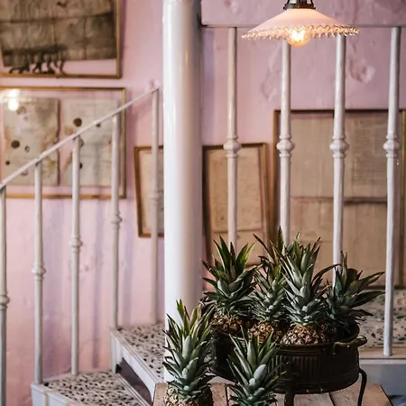 House No. 30 By Too-good شقة *
